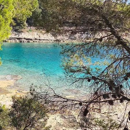 Διαμέρισμα Zora