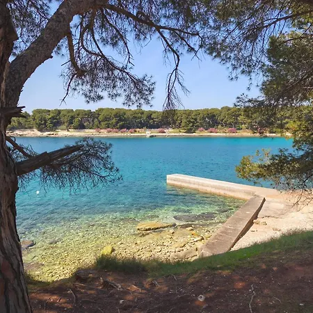 Διαμέρισμα Zora