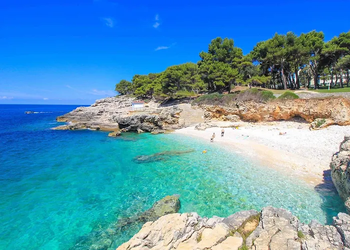 Zora Διαμέρισμα Πούλα