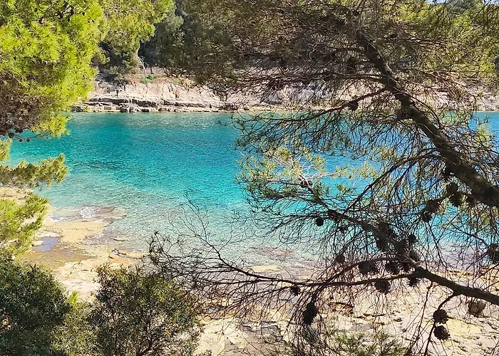 Διαμέρισμα Zora