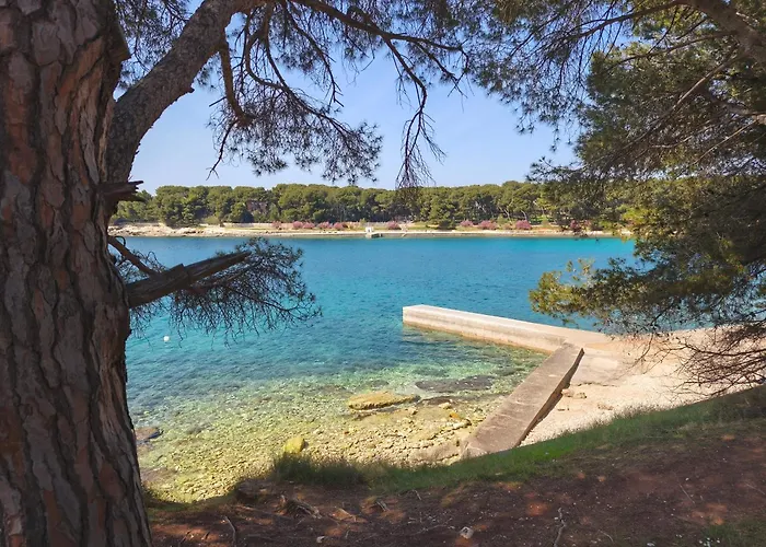 Διαμέρισμα Zora